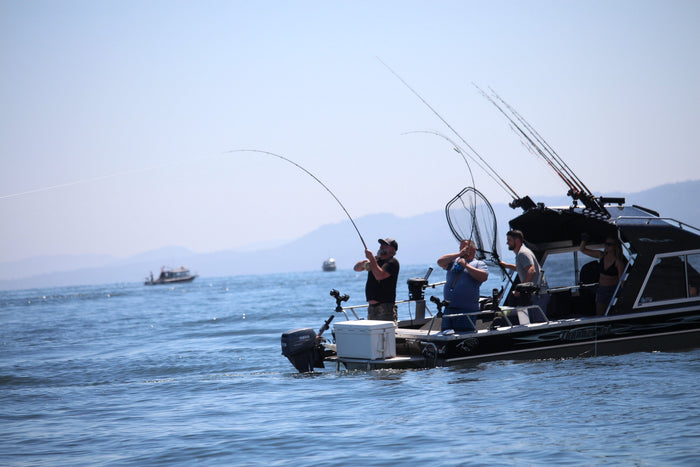 Top Tackle for This Year’s Pink & Sockeye Run
