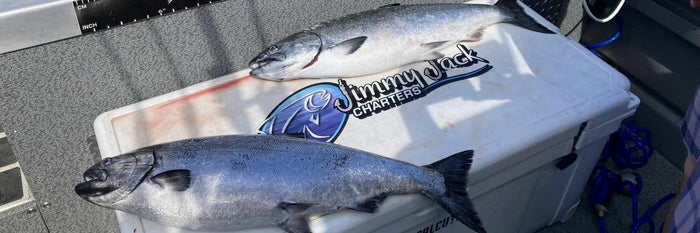 Navigating the Bountiful Waters of Powell River BC: A Seasonal Reflection with Drew Dodsworth of Jimmy Jack Charters