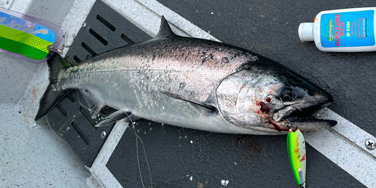 Enhancing Your Salmon Fishing Success The Power of Scents and Adaptab